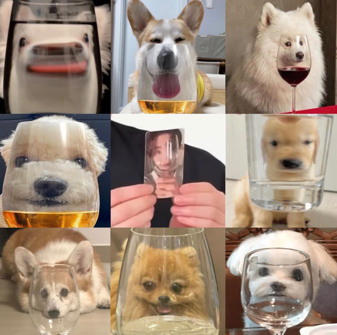 Charlot02655183's tweet photo. 🤣 https://t.co/lXKb71J46b