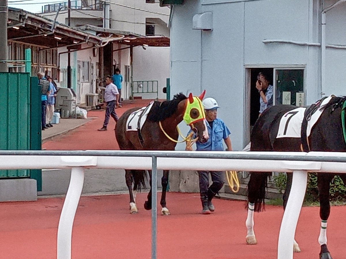 SarahUran12's tweet photo. 今日は何することなく浦和競馬に来てしまった。先々週の新潟アイビス三連単をゲットしたのでお遊びに。家族連れや皆さん楽しそうに観戦しており良い光景です。 https://t.co/8kOvZz8Wgx