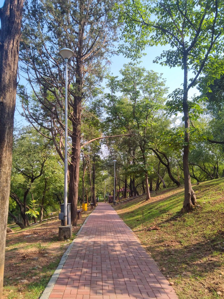 Urooj394's tweet photo. Walk and talk? https://t.co/XlzEcJsMFu