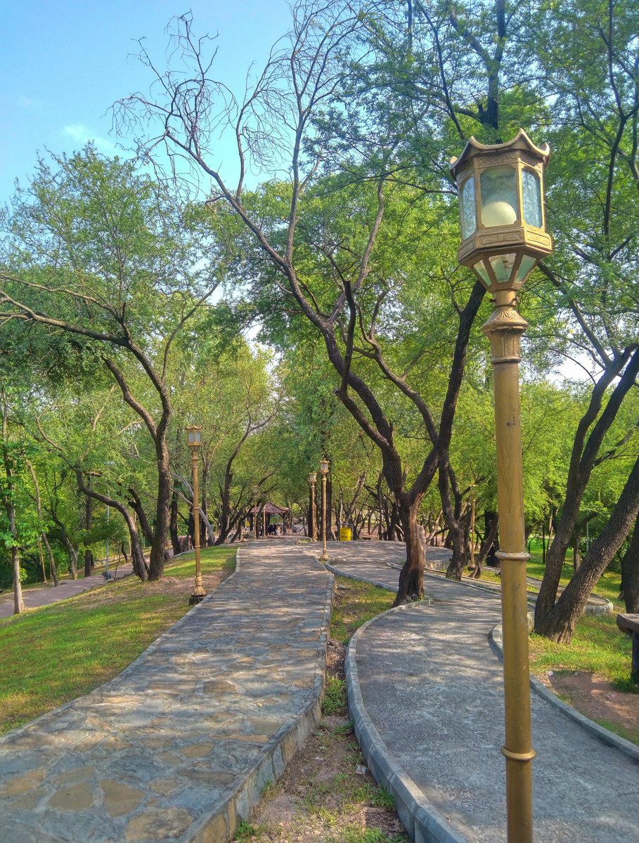 Urooj394's tweet photo. Walk and talk? https://t.co/XlzEcJsMFu