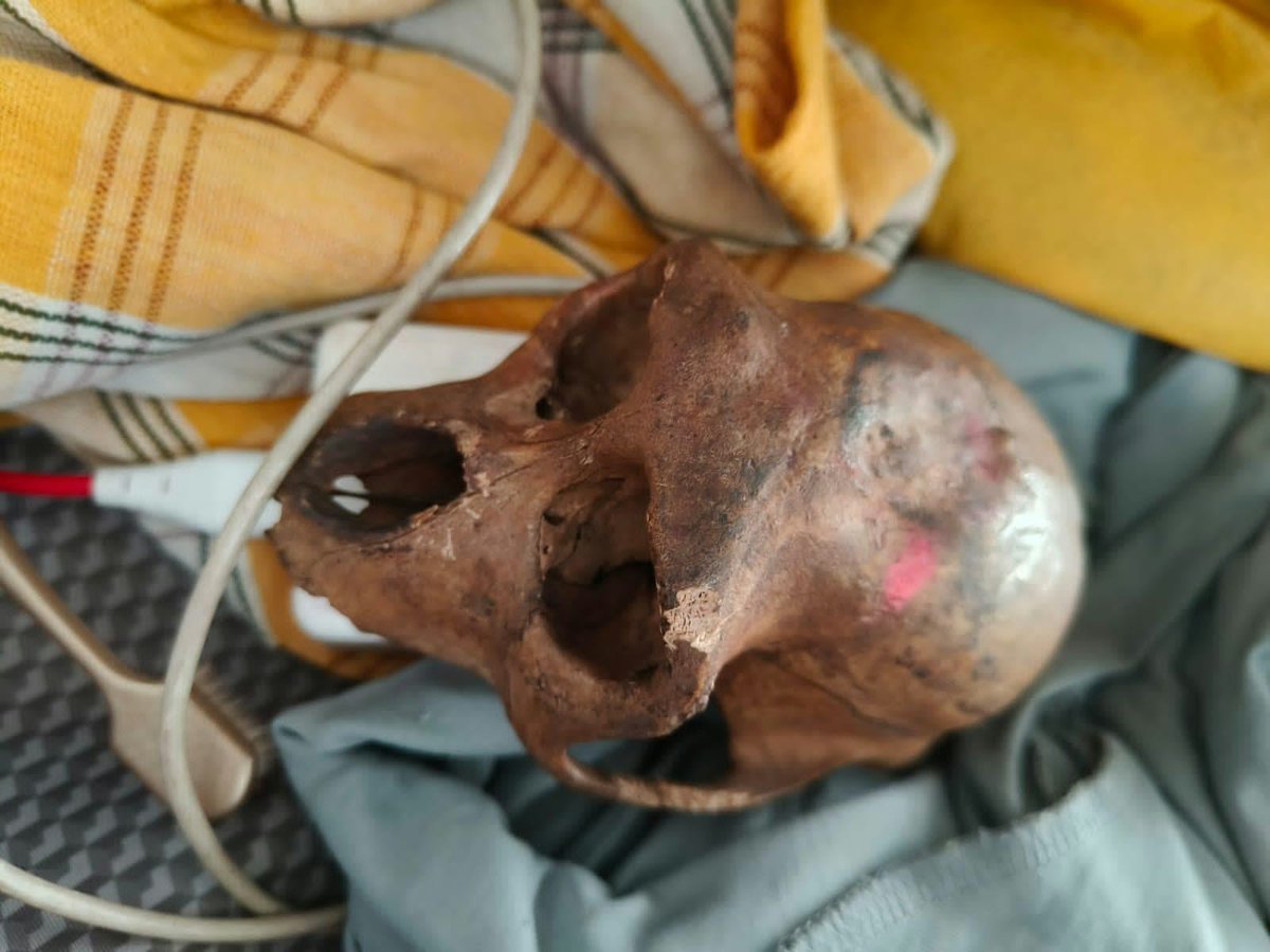 NBTDilli's tweet photo. #Delhi: CISF Detects Monkey Skull Concealed in Passenger’s Hand Baggage at Delhi Airport. Via @ManeeshLLB https://t.co/KgOGHEAgD0