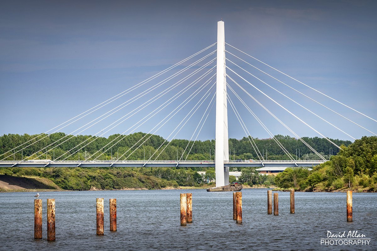 davidm_allan's tweet photo. The view downstream on the River Wear from South Hylton in Sunderland this afternoon at high tide. Out and about on yet another warm and sunny day during the record-breaking summer of 2026.
#sunderland #wearside #bridge #landscape #cretehawser #august #summer #photography https://t.co/jkd9Hsqjb3