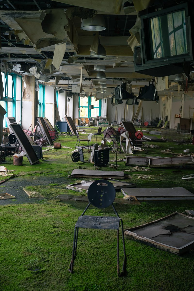elunation's tweet photo. #苔選手権
屋内の苔敷地面積で言うと、この物件のこの部屋が優勝ちゃうかな？
いや他にもあった気が…🤔 https://t.co/UQ5TuXAv81