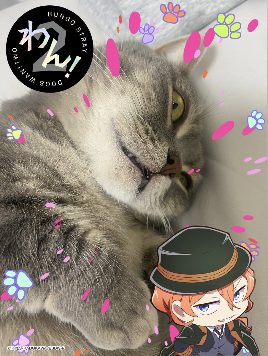 52ung0's tweet photo. 「わん！」じゃなくて『に���ん！』🐾 https://t.co/V0cXhDsZrZ