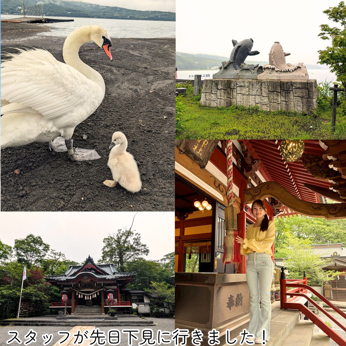 linktomyanmar's tweet photo. ＼🍁11/7・8 山中湖スタディツアー🍁／ 
今回の宿泊先「桃庵」をご紹介🏨 
①日本人とミャンマー人の協働運営🇲🇲🇯🇵 
②山中湖徒歩20秒！正面には富士山🗻 
③夜は神社の紅葉ライトアップも⛩️🍁 
👇詳細・申込 
https://t.co/6Sh1bkPv6m
#多文化共生 #地方創生 #国際交流 #紅葉狩り https://t.co/VaKhq1GHnQ