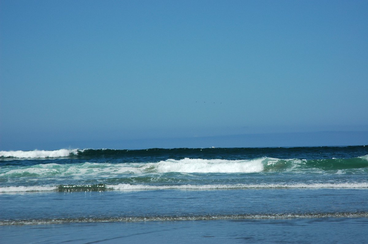 BrittleBluebell's tweet photo. hi everyone!!! I just posted Chapter 5 of In Shades of Blue for #aruaniversary2026. I hope you all enjoy 💙

Prompt: Waves

#aruani @aruaniweek2026 

Link: https://t.co/SbpAgYr7nH https://t.co/xv2LRDGJiI