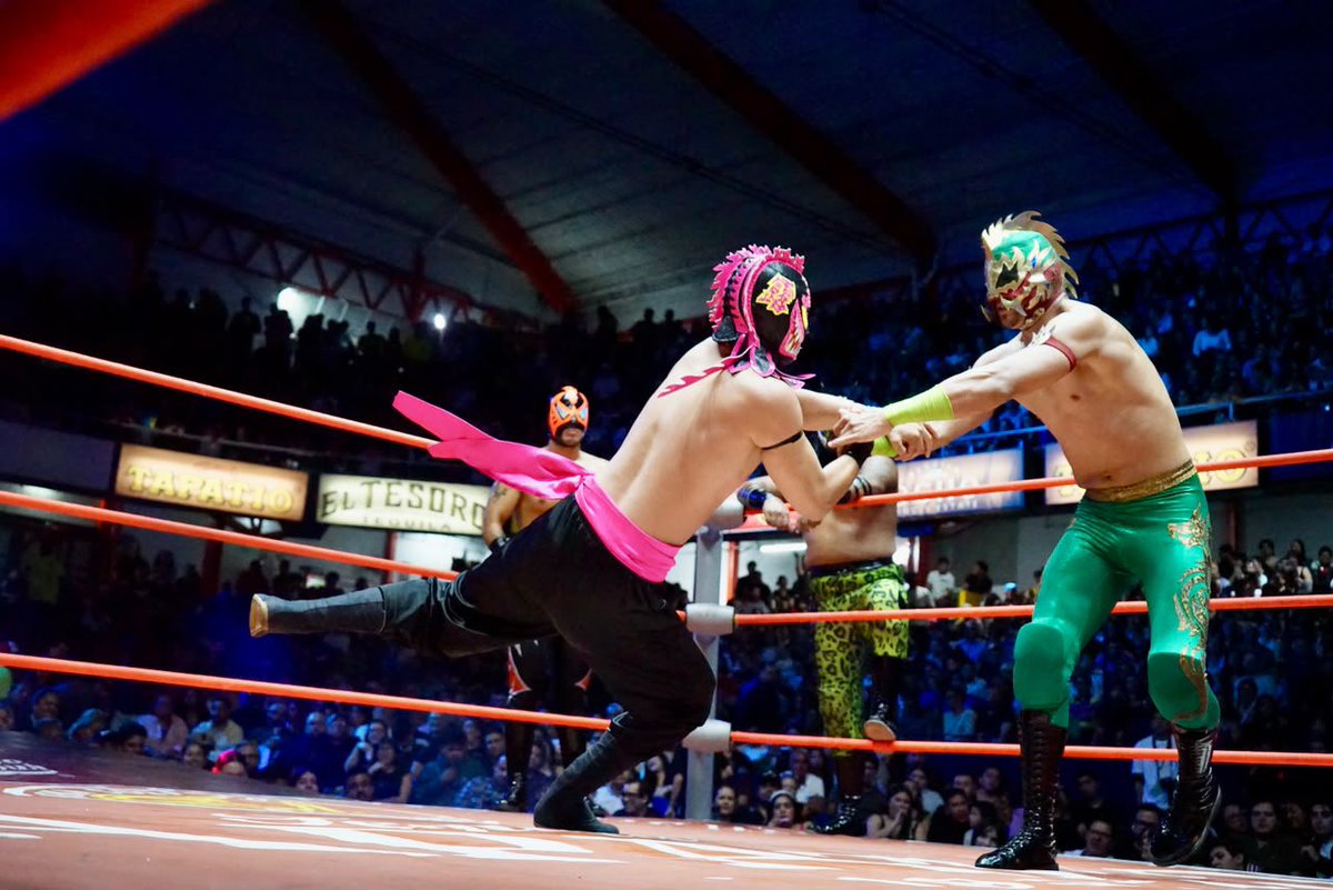 CMLL_OFICIAL's tweet photo. Brillante Jr., Valiente Jr. y Kaiju aplicaron la estrategia indicada para frenar a la esquina ruda. La tercia técnica resolvió a su favor el compromiso ante Bestia Negra, Príncipe Drago y Black Warrior Jr. 

#MartesDeGlamourCMLL #CMLL https://t.co/ozV29Vugpy
