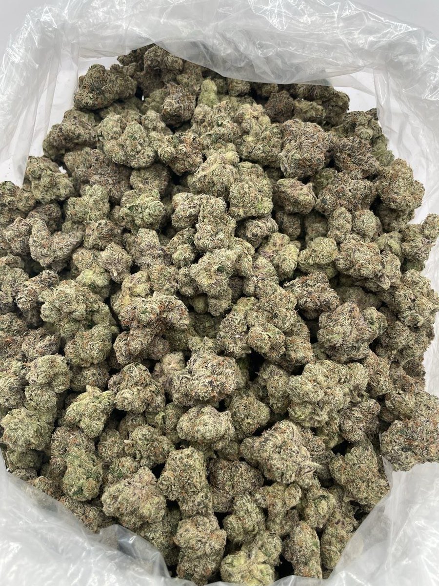 Bigmunchdaplug's tweet photo. Exploring Gelato, Wedding Cake, Runtz, Blue Dream &amp; OG Kush — genetics, terpenes, cultivation, and cannabis research insights.

📍 Los Angeles • San Francisco • San Diego • Sacramento • Denver • Seattle • Miami

https://t.co/qHxSalDeFP https://t.co/tsgKsyreto