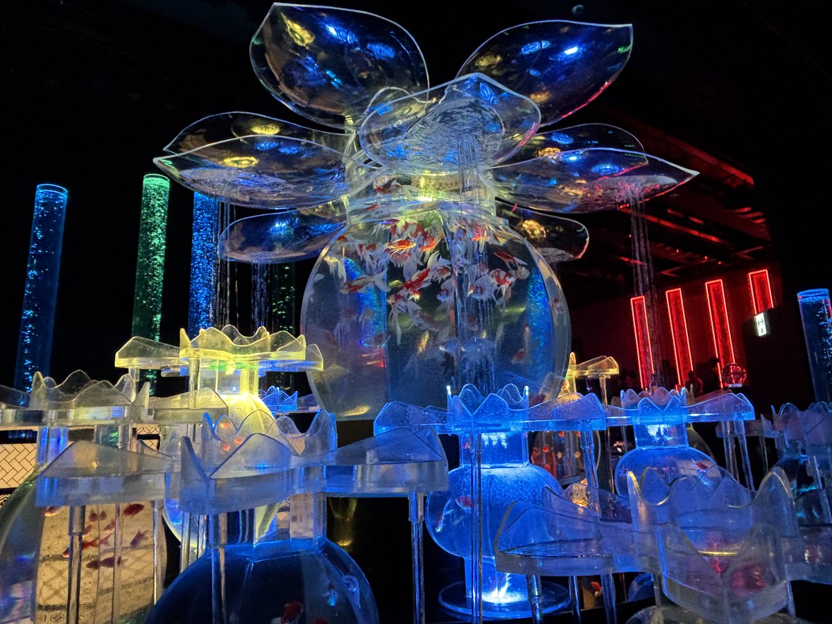 Ice1993Mini's tweet photo. 「アートアクアリウム展 名古屋2026」を見てきました。
すごく綺麗な世界観でした。
ん～、写真撮影は難しいなあ...。

#アートアクアリウム https://t.co/Bt0AiCFIx2