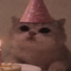 JamCatRH's tweet photo. make a wish. he already did. https://t.co/6kmECrubvL