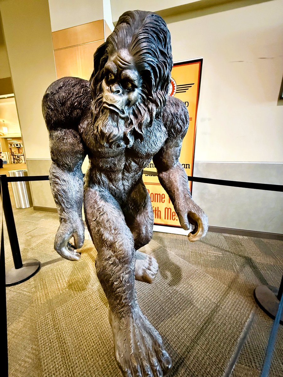 hbaskas's tweet photo. A 6-foot-tall Sasquatch greets passengers at this Oregon airport. 

https://t.co/Pw99FCJUAc

#airports #avgeek #sasquatch #bigfoot https://t.co/HWjnvDQWVn