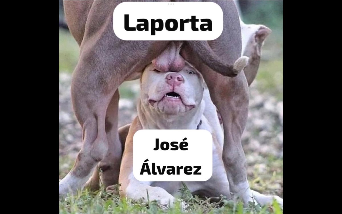 CiroLR's tweet photo. @10JoseAlvarez Al servicio de su amo... https://t.co/fal6HuDP3Z