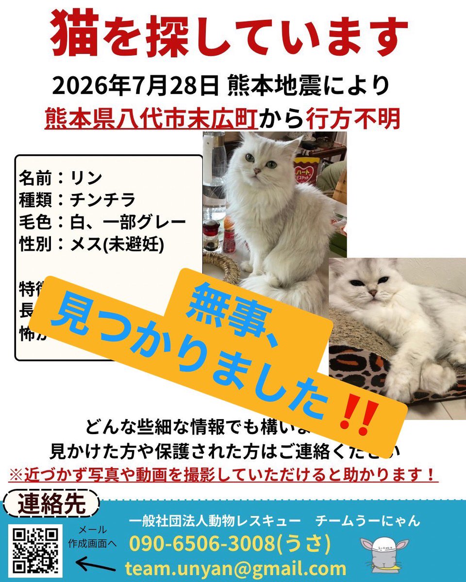 ____Usa's tweet photo. チームうーにゃんスタッフです。

【リンちゃん、無事に見つかりました‼️】
うささんが、捜索を続ける中で、リンちゃんの住む同じマンションの方が保護しているのではないかと思ったそうです。

飼い主さんにお願いをして、聞いて回っていただいたところ、マンションの住人の方が保護してくださっていました‼️

無事に再会できて、本当によかったです。

リンちゃん、お帰りなさい🍀

byチームうーにゃんスタッフ