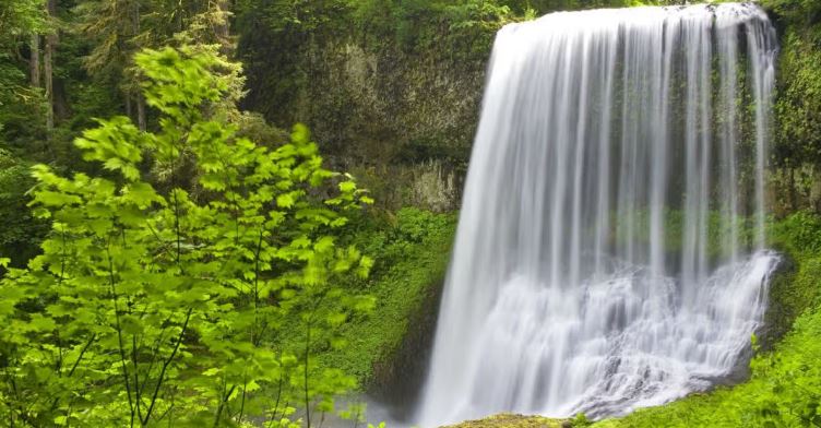 DailyMirror's tweet photo. Tourist, 20, plunges 177 feet to his death trying to take photo from waterfall https://t.co/ByQVHcX05h https://t.co/63asHDR9Uh