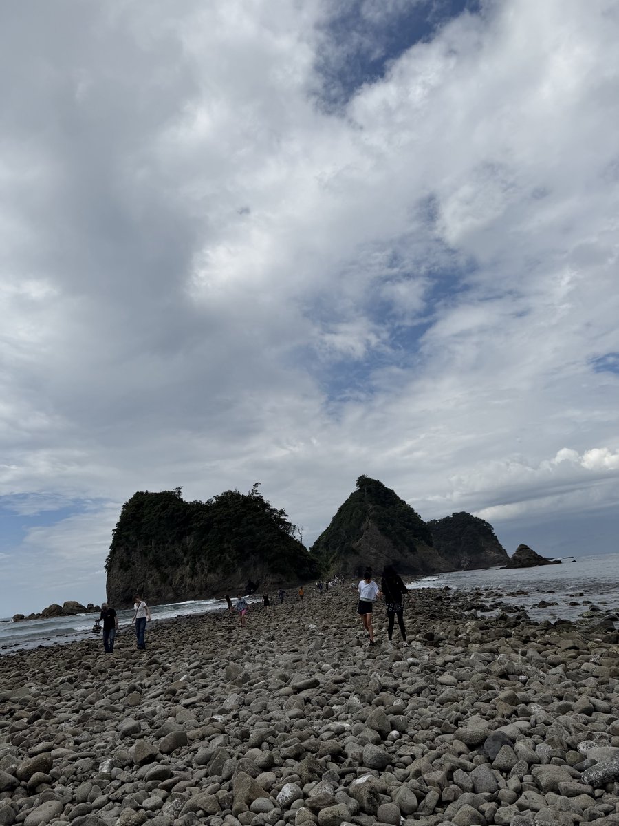oimo_orange's tweet photo. 海に来た。久しぶりにふなむし見た。 https://t.co/HeL8NrAua8