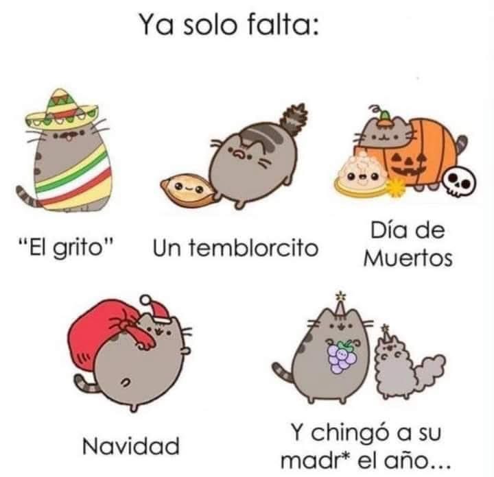 Copitadebaileys's tweet photo. Y se nos va el año… https://t.co/wTAne0y2Mn