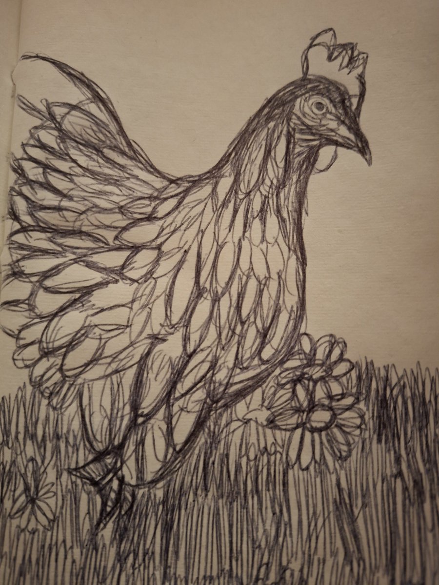RacoonCatGirl's tweet photo. This turned out kinda cute will paint eventually #chicken #sketchbook https://t.co/sdXeemo8O1