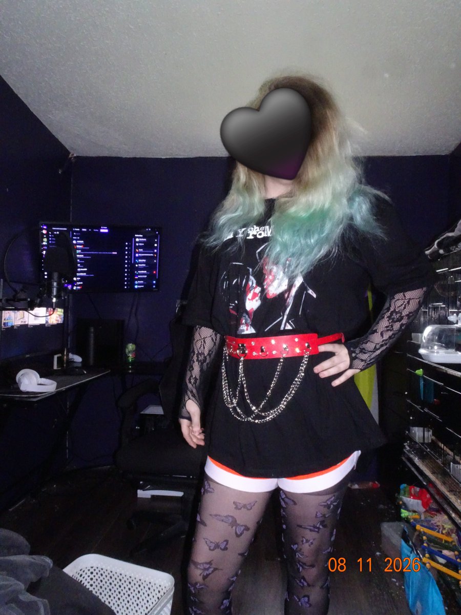 SimmonsSam69288's tweet photo. I'll try to take new pics and less cage pics for here
More variety would be nice https://t.co/WpQusZl2VF