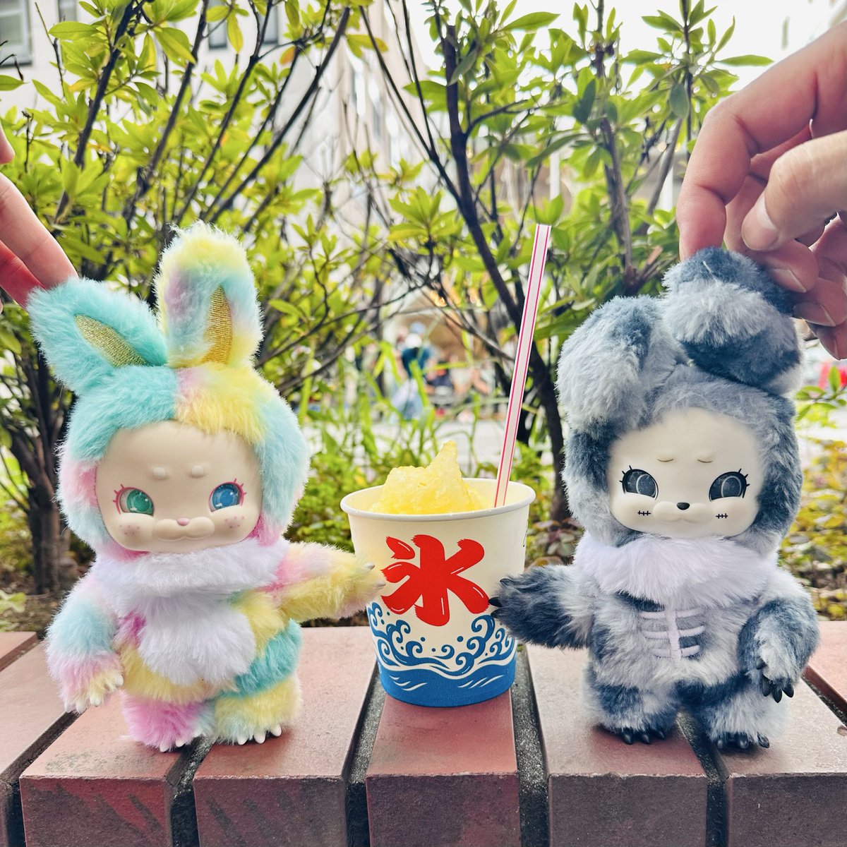 hikacinna's tweet photo. はじめての かき氷🍧
#802maturi
#八王子まつり
#clawzsnap
#ClawZ
#クロージィー
#RainbowLab https://t.co/esbiJj5kxK