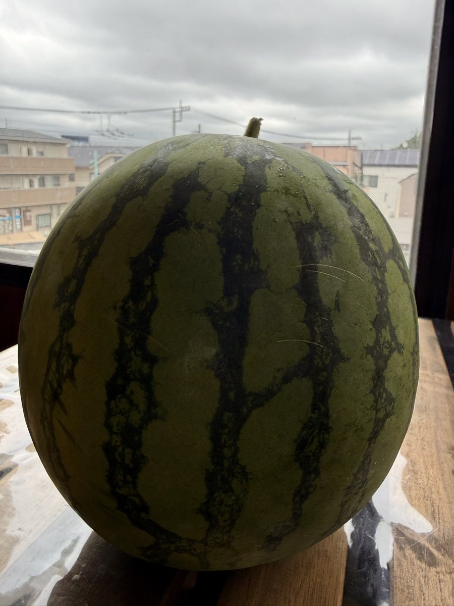 greenworldcafe's tweet photo. 本日12日(水)
グリカフェランチにご来店のお客様カットスイカ🍉プレ��ント🎁なのでお食事でもドリンクでもスイカ好きな方に付いてきます‼️
ご来店よろしくお願いします🙇 https://t.co/PPV0Pl5CE4