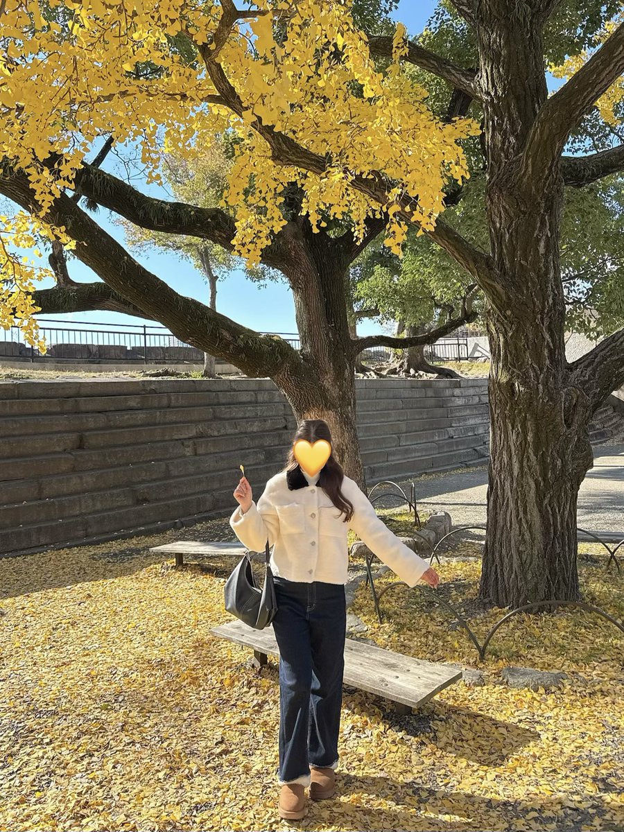 bbblinabb_'s tweet photo. แปะอีกลุคที่ชอบค่า ใส่ไปถ่ายกับใบแปะก๊วยสีเหลืองที่ปราสาทโอซาก้า💛🏯 แจ็คเก็ตสีขาว ตัดด้วยคอปกสีดำ ทำให้ไม่ดูเรียบเกินไป เค้าใส่คอเต่าข้างใน 1 ตัว แล้วแจ็คเก็ตทับ 10-15 องศา สบายๆเลยค่า แล้วพอเป็นสีขาวคือใส่ถ่ายรูปได้หลายที่เลย ถ่ายที่คาเฟ่ก็ยังเข้า🥰🫶🏻 https://t.co/qdEBSY0jEr