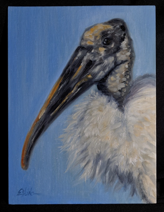 EblingPhoto's tweet photo. Check out my new Wood stork Bird Oil Painting 9x12 Signed Original Nature Art https://t.co/yDjtXDH0xe #eBay via @eBay #oilpainting #gamblin #birdart https://t.co/7abQjgxUW5