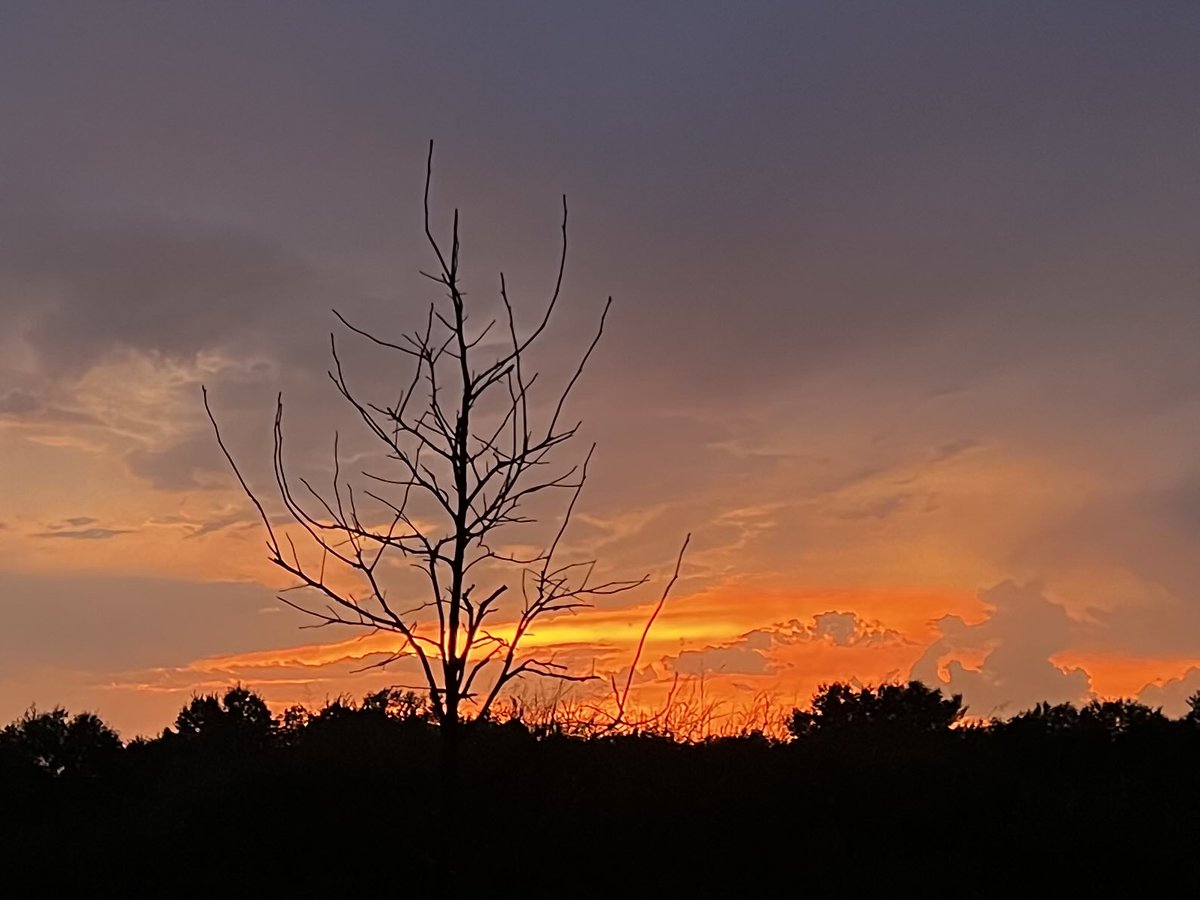 FreedomFisher's tweet photo. Calming sunset after this evening’s storm! @WLKYJayCardosi @WLKYMoRose @TawanaAndrew @BenPeineWeather @BGoodeWAVE3 @BryceJonesWx @MarcWeinbergWX @MatthewWine_wx @NWSLouisville @jloganwxguy @WeatherNation @RDeLucaWX @WLKYSusanneH @spann https://t.co/HTP23ufpfY