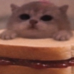JamCatRH's tweet photo. he is the jam
$JAMCAT https://t.co/uVfEipTSL6
