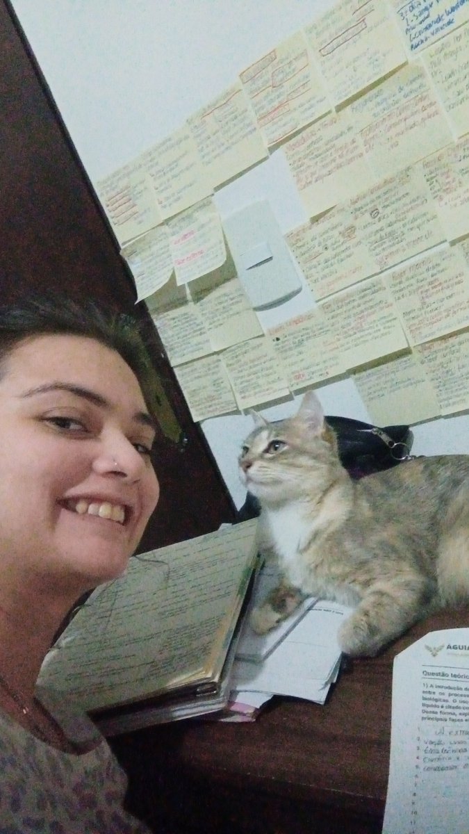 death_vicgotz's tweet photo. Ainda não tô conseguindo superar sua ausência, meu amor. Você ta fazendo muita falta.
Queria poder ter te mostrado meus filhos igual você confiou em colocar os seus filhonhos para dormir no local que você considerava seguro (nas minhas pernas) 
Te amo daqui, você foi a melhor. https://t.co/r2houuDRs1