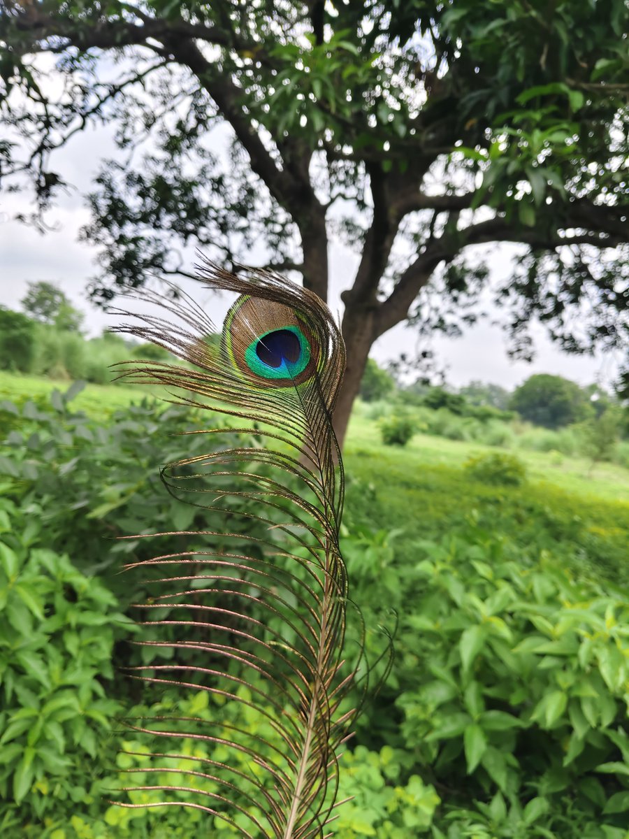 PrafullitMishra's tweet photo. #greenpass 
Rain in summer 🌞🏝️ 
  What a weather ☁️✨ https://t.co/nCMfrxGhBV