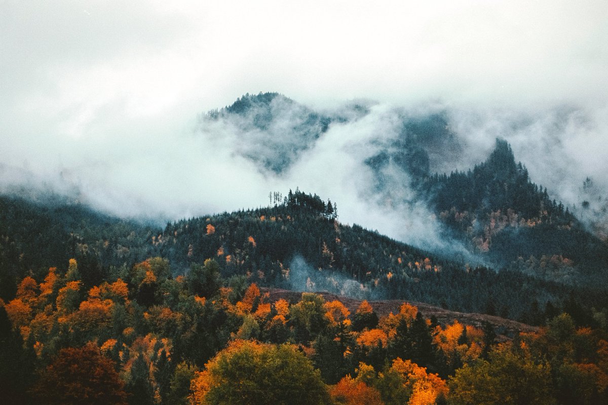 flower6260's tweet photo. Autumn in Northwest https://t.co/2Erj8qZ7kS