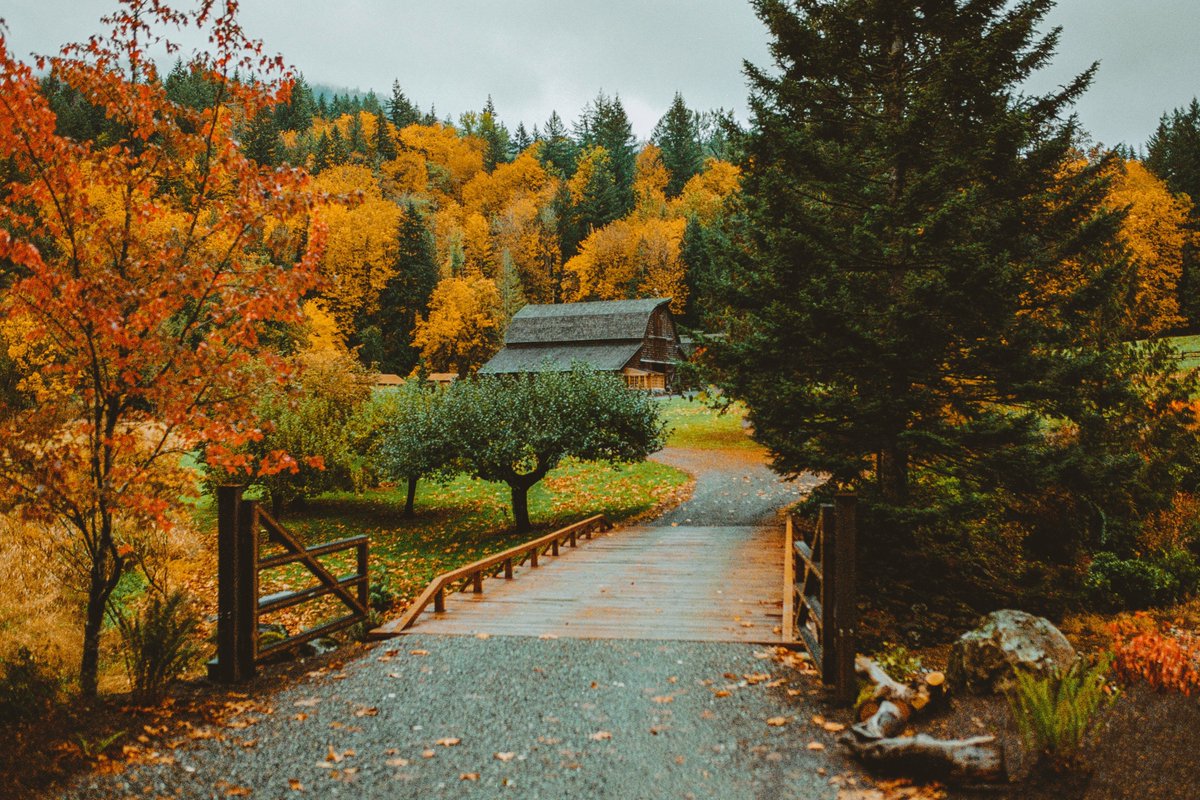 flower6260's tweet photo. Autumn in Northwest https://t.co/2Erj8qZ7kS