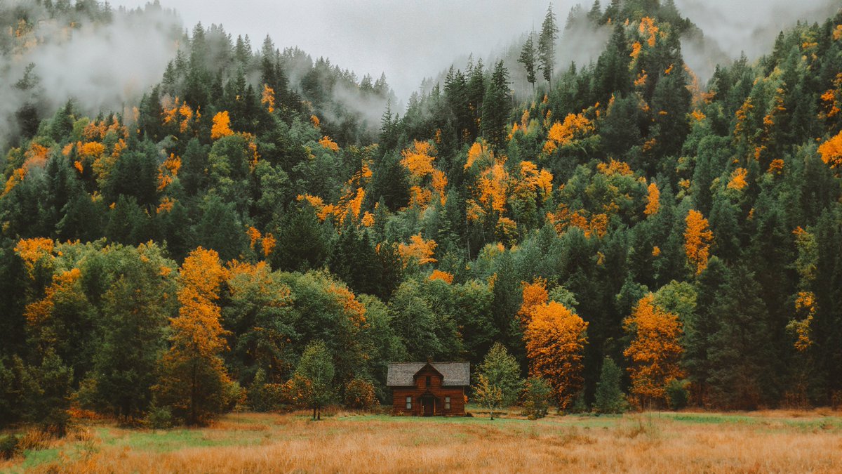 flower6260's tweet photo. Autumn in Northwest https://t.co/2Erj8qZ7kS