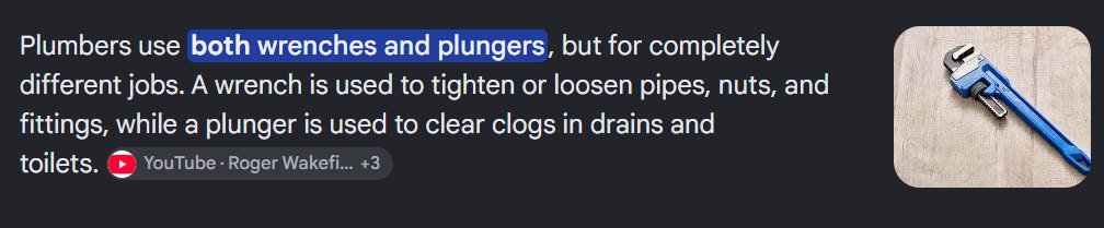 Gambtito's tweet photo. Plumbers doesn't just use a plunger. they have two main tools to function!

WNP (wrenches and plungers). Otherwise a plumber cannot function..

https://t.co/WLux0XpuGl https://t.co/6PHhemlxaW
