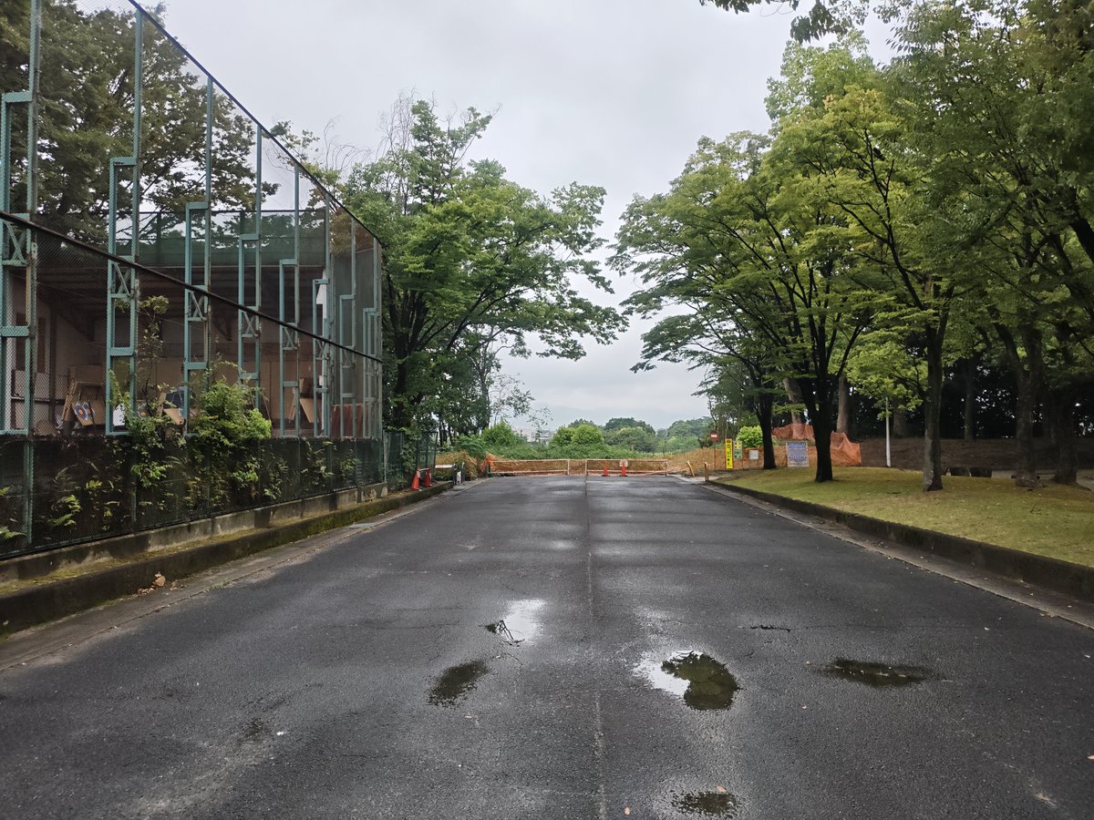 sin_TT's tweet photo. てか、久しぶりに横大路来たら木がなくなっててビックリした。 https://t.co/DibjPY0ZxR