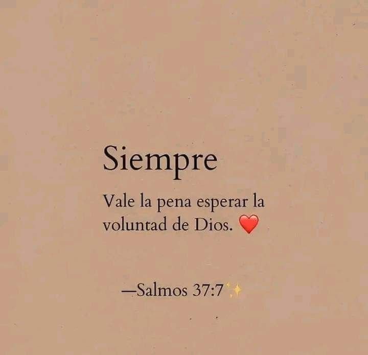 Biblia_Linea's tweet photo. Siempre... https://t.co/fumR7eYmOv