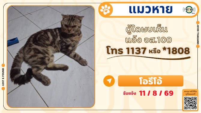 js100radio's tweet photo. แมวหายจากซอยวัดบางศรีเมือง จ.นนทบุรี ผู้ใดพบเห็นแจ้ง JS100 โทร *1808 หรือ 1137
.
แมวหาย ชื่อโอรีโอ้ พันธุ์เปอร์เซีย ผสมสก็อตติช เพศผู้ อายุ 2 ปี ลายเสือเบงกอล ไม่สวมปลอกคอ หายจากซอยวัดบางศรีเมือง จ.นนทบุรี เมื่อวันที่ 9 ส.ค. 69 เวลาประมาณ 06.00 น. ผู้ใดพบเห็นแจ้ง JS100 โทร *1808 หรือ 1137

#แมวหาย #ตามหาแมว #JS100