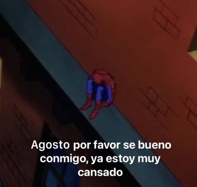 FraseSimple tweet picture