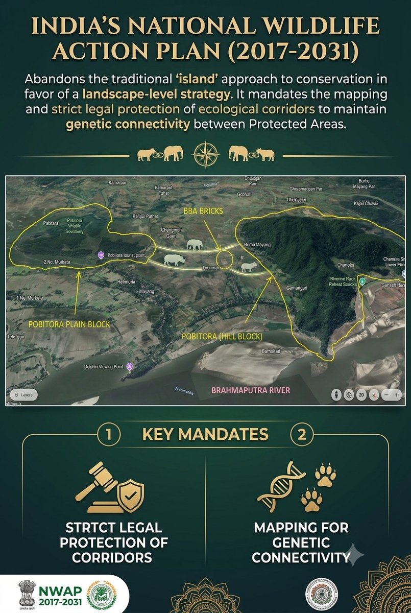 satyan_aec's tweet photo. @moefcc Gain in Rhino Conservation should not convert to Loss through Environmental Degradation !!
Save Pobitora WLS from the affect of Brick Kilns operating in the 3 km Inter-Space between the Plain & Hill Blocks (Default ESZ).
#SavePobitora https://t.co/SqbwnDZbUk