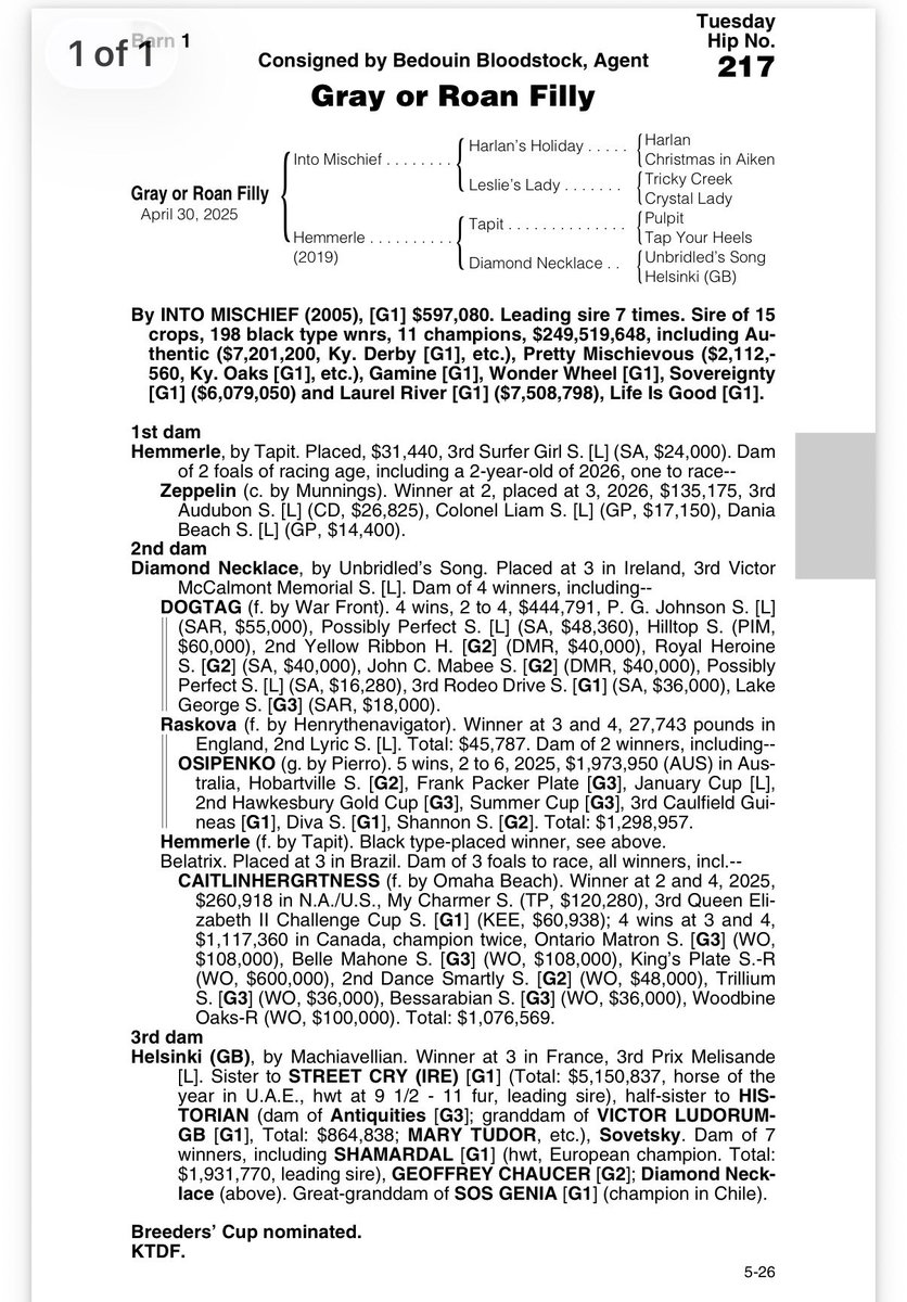 stoolpresidente's tweet photo. Welcome to the family pretty girl!!!   Partnered with @spendthriftfarm on this beautiful Into Mischief Filly!   Very excited! https://t.co/pLIZr4Wdqe