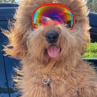 man_hunter52860's tweet photo. I’m starting to understand why these ecosystems get addictive.
There’s the token, the community, the memes and then the random personalities that appear along the way.
@motiontip $MOTION
$PONS $STONKBROKER $BRODIE $WISHBONE
Now we wait. 👀 https://t.co/wkCxhJOnSn