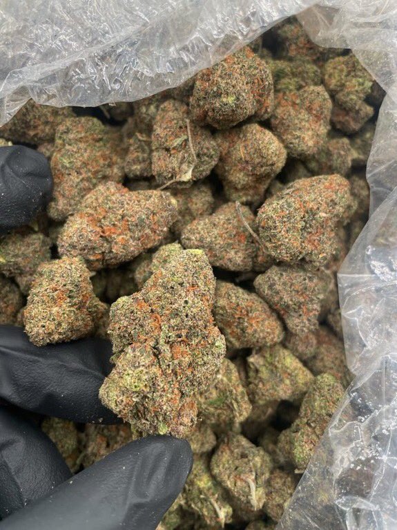 Bryan7157974573's tweet photo. @AngelsCannabis Sample going on Tapin with your location asap! https://t.co/AsVMeiVfG4