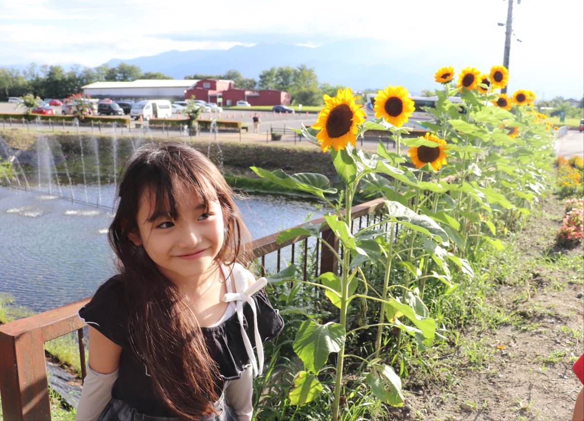 chanruna0618's tweet photo. 🌻🌻🌻 https://t.co/ZXixifY9wo