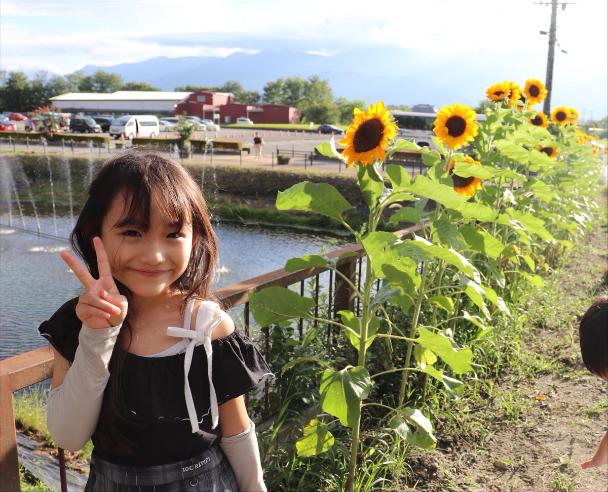 chanruna0618's tweet photo. 🌻🌻🌻 https://t.co/ZXixifY9wo