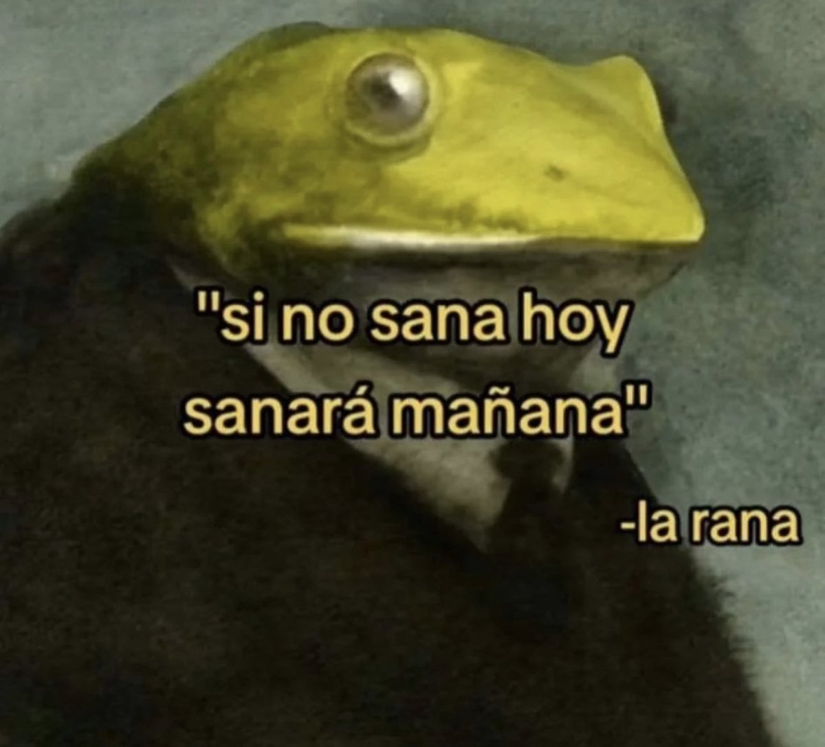 FraseSimple's tweet photo. https://t.co/dzxzf4VZOJ