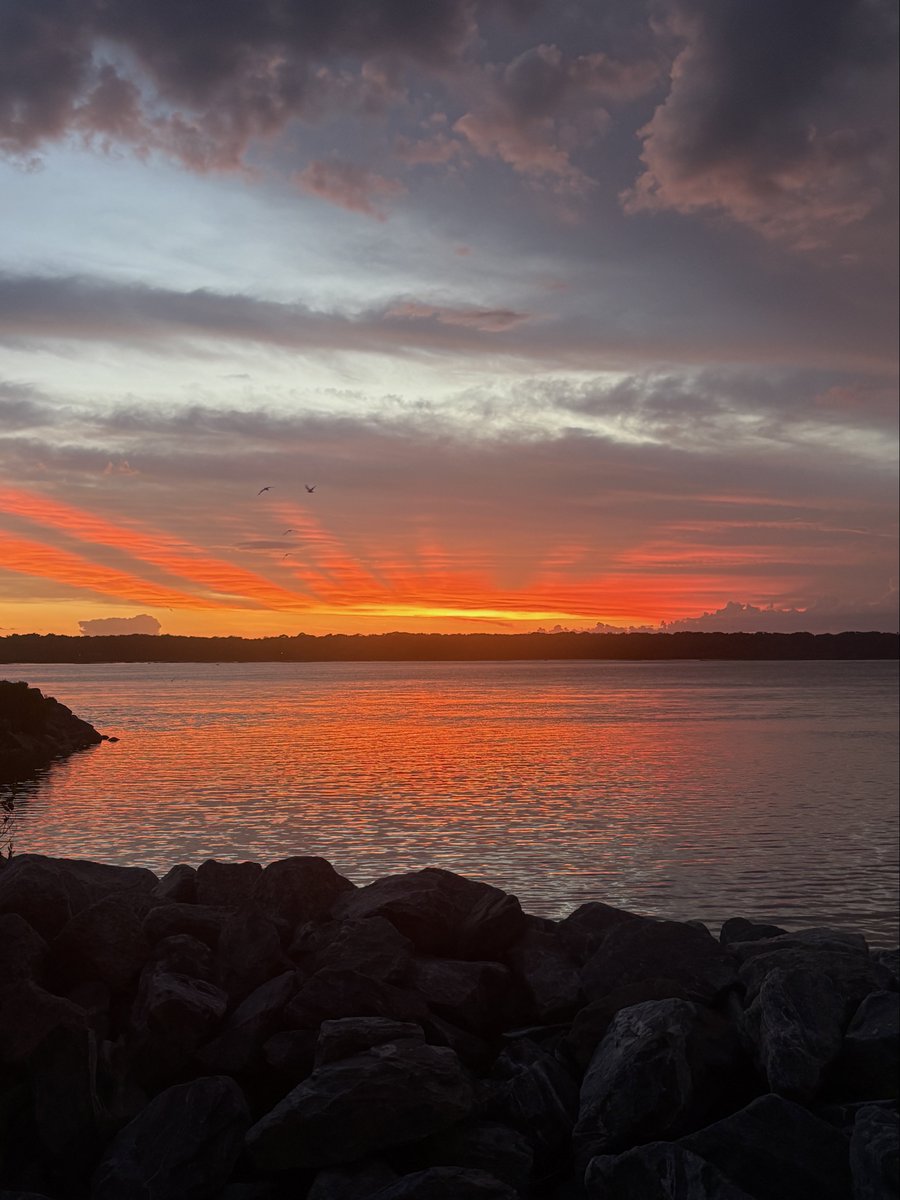 FStop_Traveler's tweet photo. Today’s sunset, brushed-stroked fire across the canvas in the sky. I just stood there holding my breath while taking it all in.

#Sunset #GoldenHour #SkyOnFire #NaturePhotography #WaterReflection #DramaticSky #SunsetLovers #Landscape https://t.co/N0f3oHdr4n
