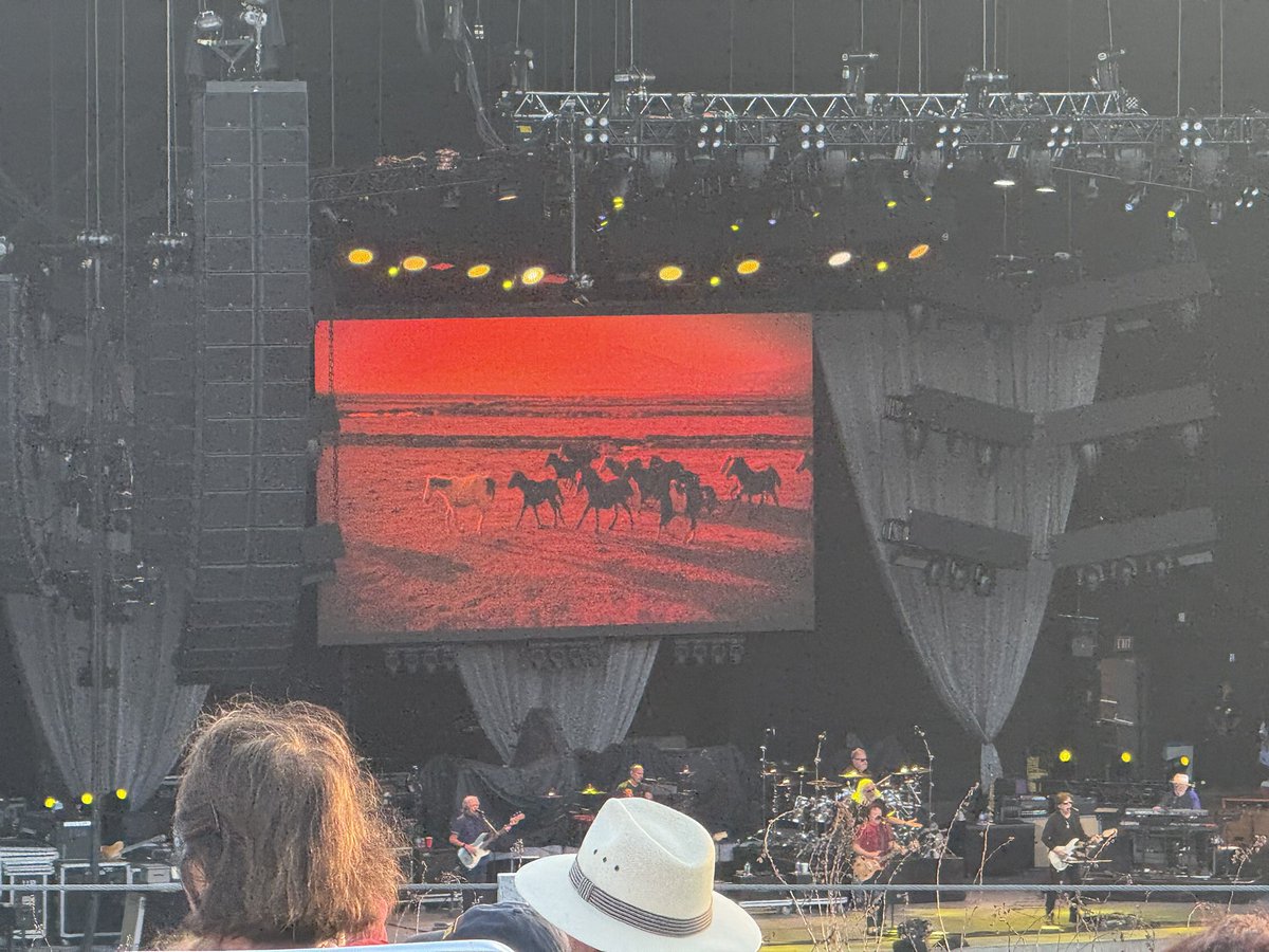 yaboijacrizpy's tweet photo. OMG HORSES https://t.co/G2MC1n5WCT