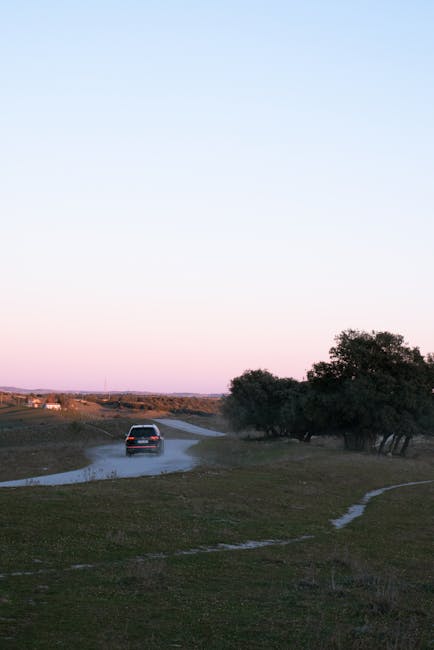 VanettaMermznf's tweet photo. الدفء هو الذي يشعل النور تحت القمر. الروح ضوء dexter schlichter🤜 https://t.co/jI8vIWBrl0