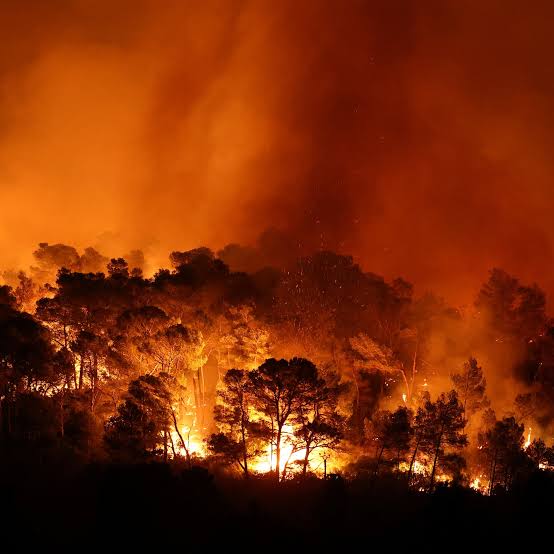 AlexBarnicoat_'s tweet photo. Unpopular opinion:

If you start a wildfire because you ignored restrictions and decided your cigarette or barbecue mattered more, you should face serious prison time.

I don’t care if it was an “accident.”

When conditions are so dry that one spark can destroy homes and kill people, behaving recklessly stops being harmless stupidity.

France is right to get much tougher on this.

And I personally think the UK should copy France with this one.

Do you agree?