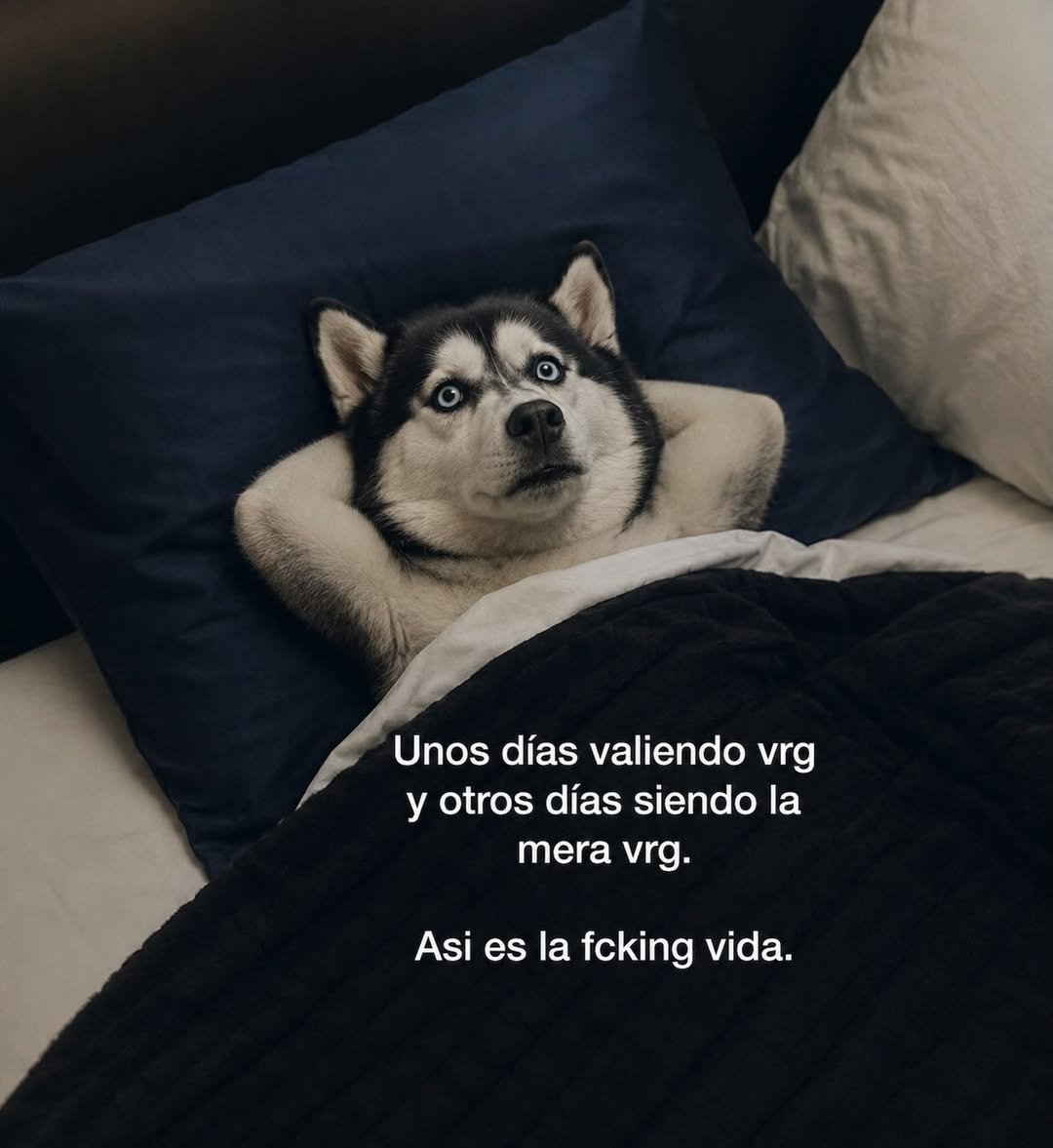 FraseSimple's tweet photo. https://t.co/aRnZ2NG3P5